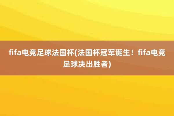 fifa电竞足球法国杯(法国杯冠军诞生！fifa电竞足球决出胜者)