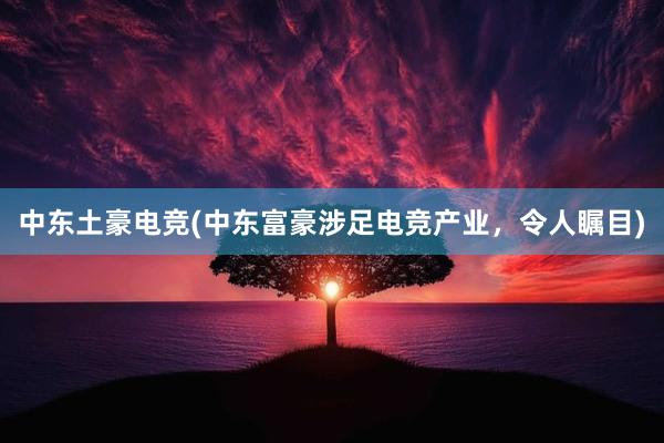 中东土豪电竞(中东富豪涉足电竞产业，令人瞩目)