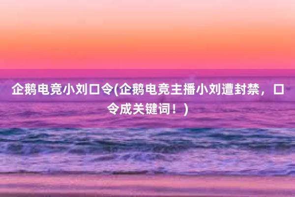 企鹅电竞小刘口令(企鹅电竞主播小刘遭封禁，口令成关键词！)