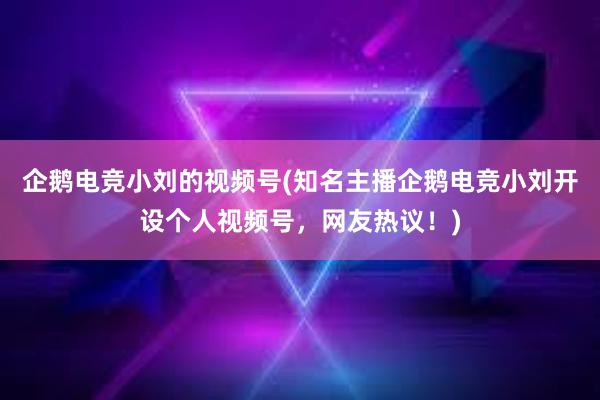 企鹅电竞小刘的视频号(知名主播企鹅电竞小刘开设个人视频号，网友热议！)