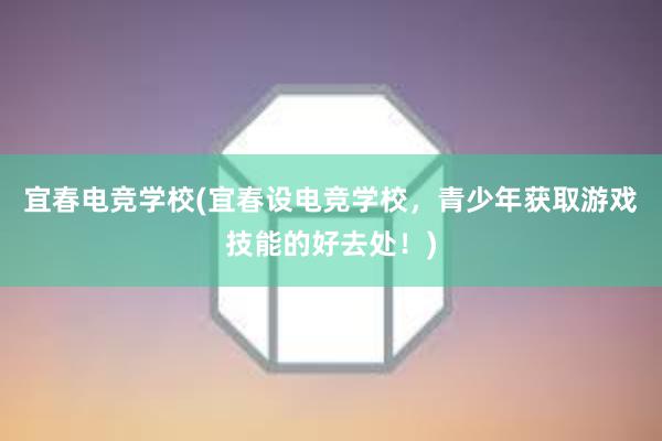 宜春电竞学校(宜春设电竞学校，青少年获取游戏技能的好去处！)