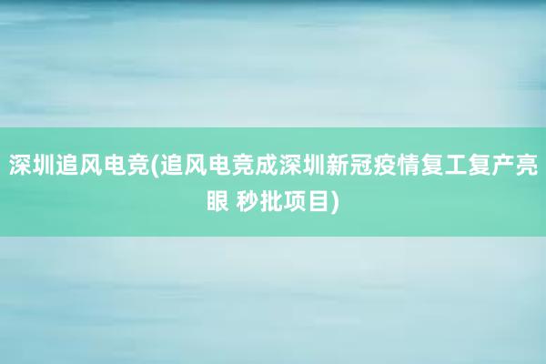 深圳追风电竞(追风电竞成深圳新冠疫情复工复产亮眼 秒批项目)