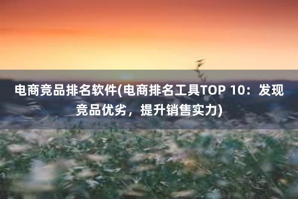 电商竞品排名软件(电商排名工具TOP 10：发现竞品优劣，提升销售实力)