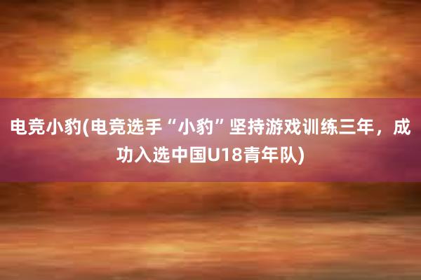 电竞小豹(电竞选手“小豹”坚持游戏训练三年，成功入选中国U18青年队)