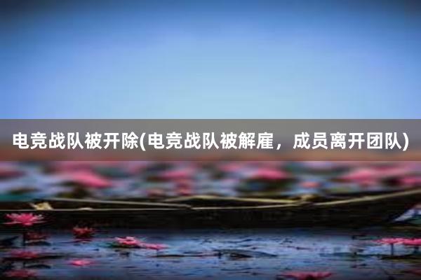 电竞战队被开除(电竞战队被解雇，成员离开团队)