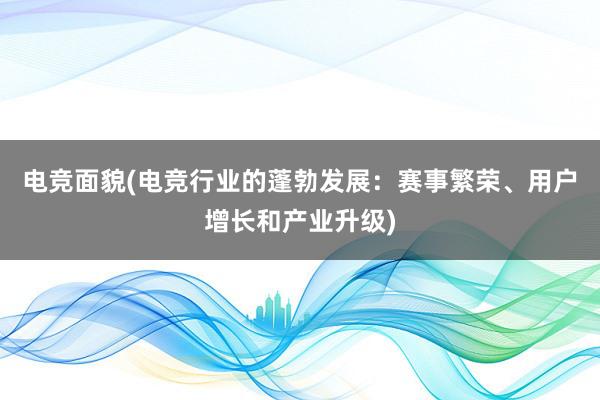 电竞面貌(电竞行业的蓬勃发展：赛事繁荣、用户增长和产业升级)