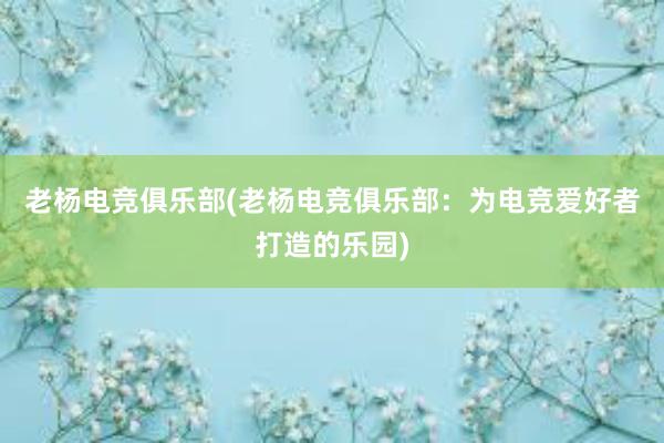 老杨电竞俱乐部(老杨电竞俱乐部：为电竞爱好者打造的乐园)