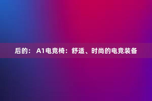 后的： A1电竞椅：舒适、时尚的电竞装备