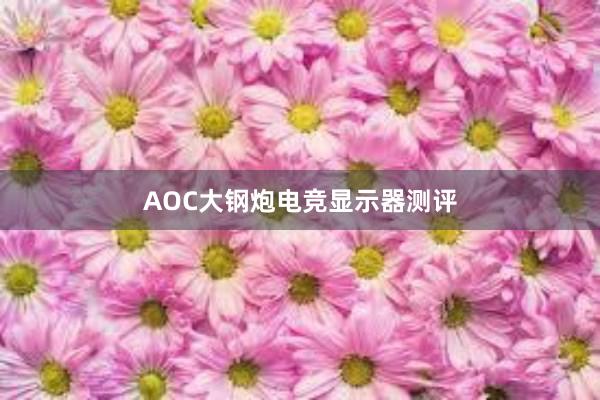 AOC大钢炮电竞显示器测评