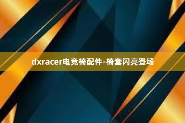 dxracer电竞椅配件-椅套闪亮登场