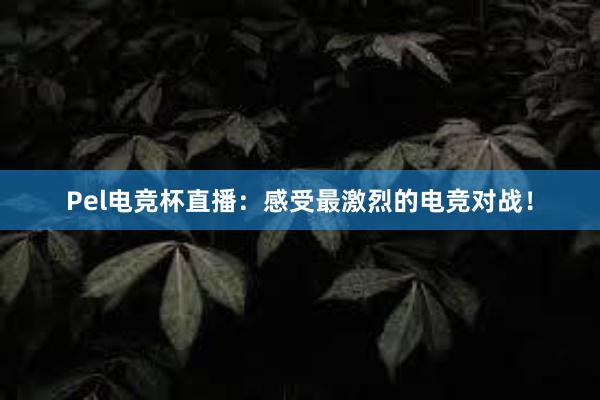 Pel电竞杯直播：感受最激烈的电竞对战！