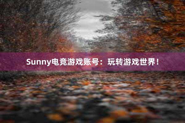 Sunny电竞游戏账号：玩转游戏世界！