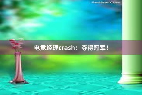 电竞经理crash：夺得冠军！