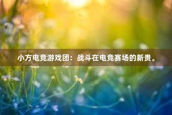 小方电竞游戏团：战斗在电竞赛场的新贵。