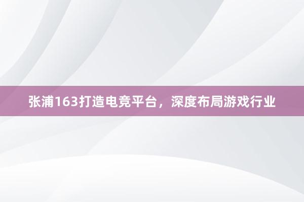 张浦163打造电竞平台，深度布局游戏行业