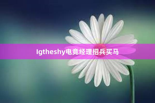 Igtheshy电竞经理招兵买马