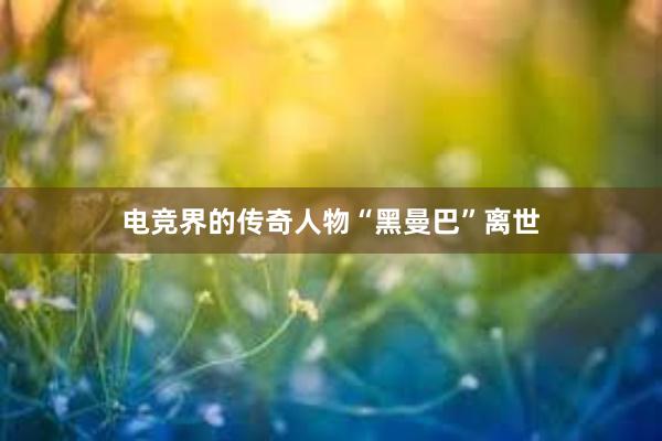 电竞界的传奇人物“黑曼巴”离世