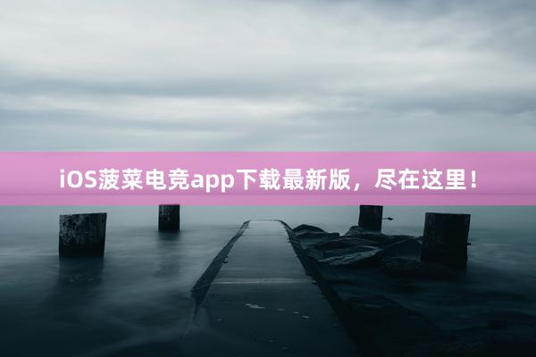 iOS菠菜电竞app下载最新版，尽在这里！