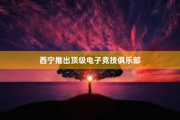 西宁推出顶级电子竞技俱乐部